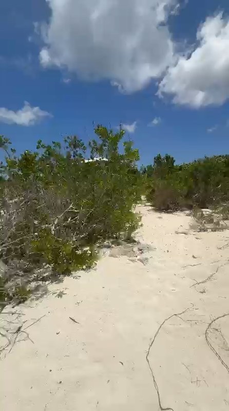 Beach Access Path to Cabbage Point Video