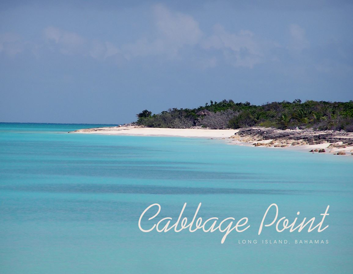 Cabbage Point Beach Access Lot 2