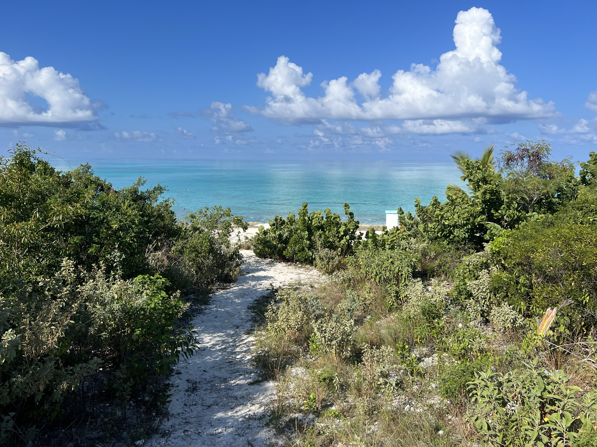 Cabbage Point Lot 2