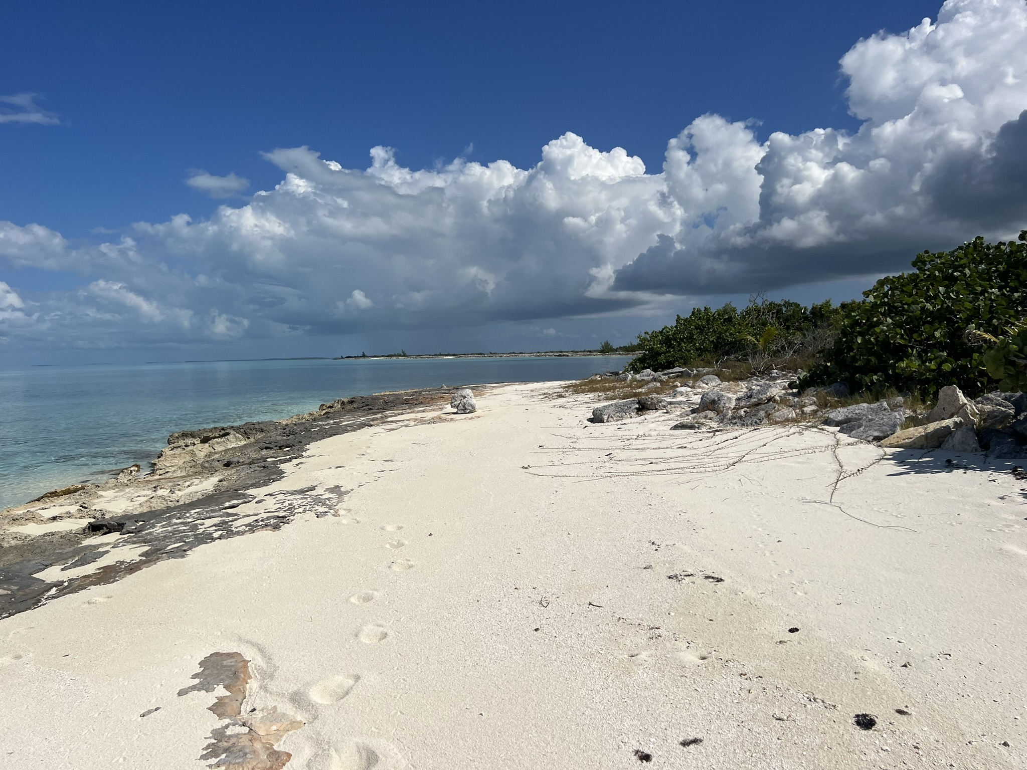 Cabbage Point Lot 2