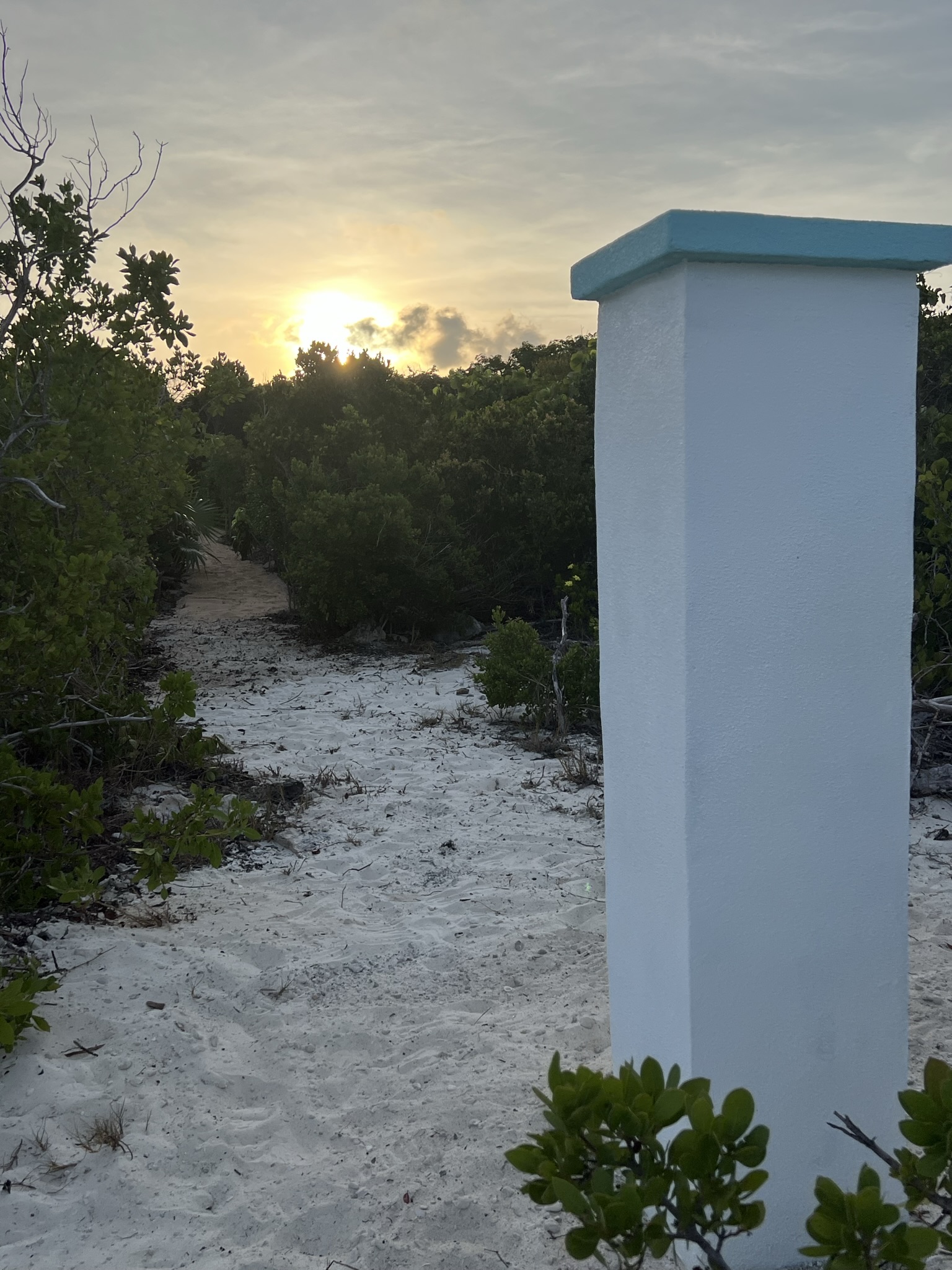 Cabbage Point Lot 2