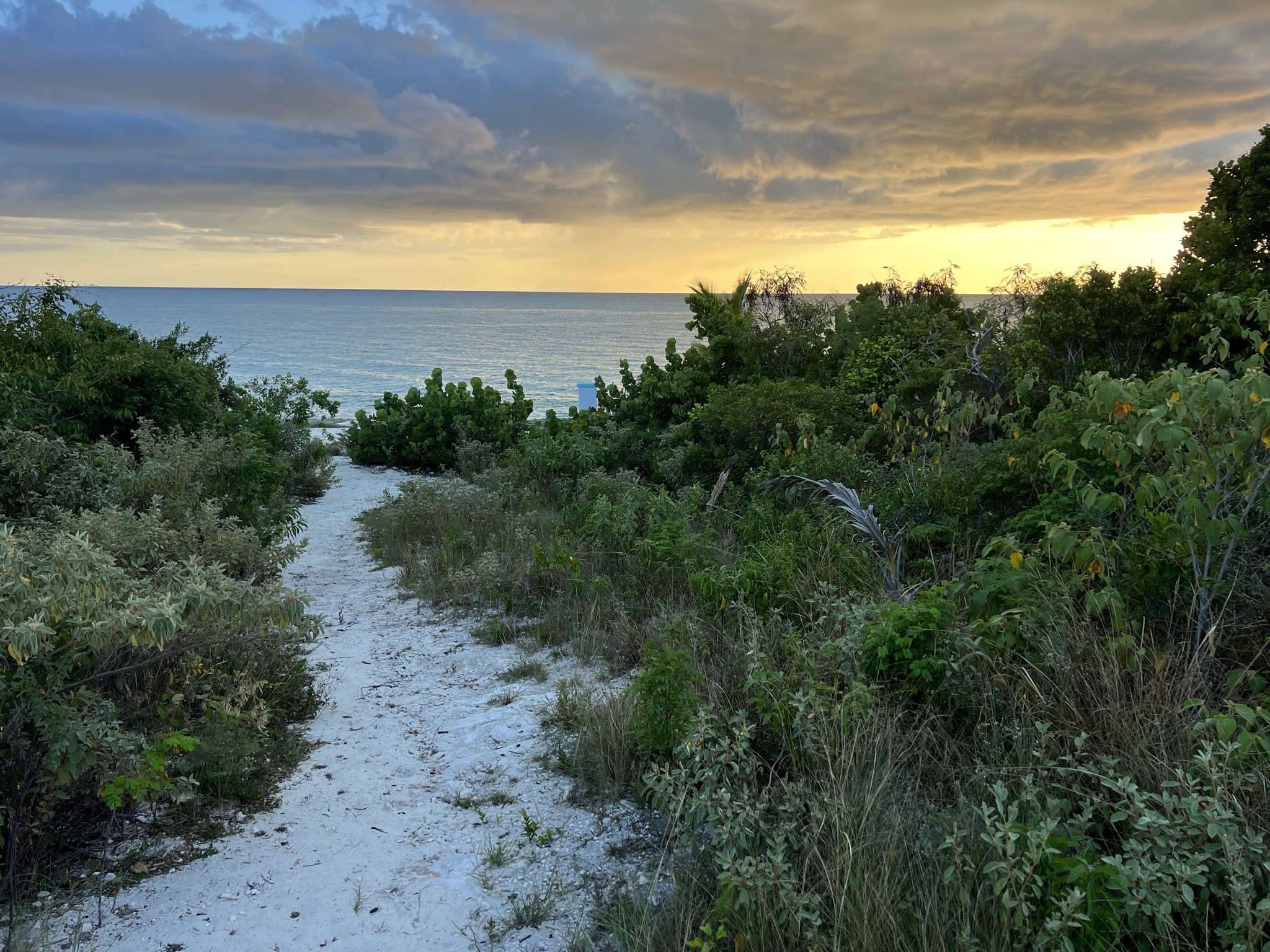 Cabbage Point Lot 2