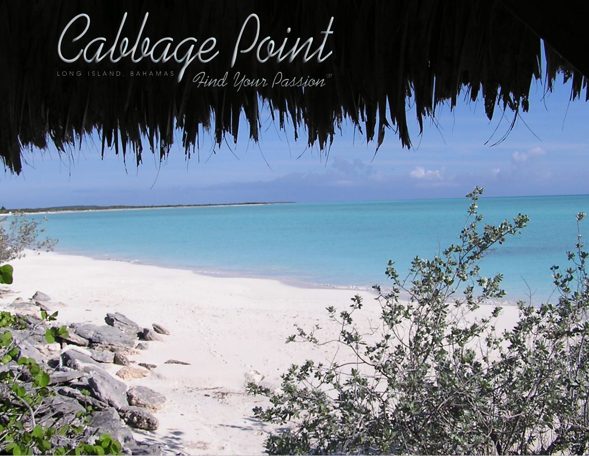 Cabbage Point Lot 4