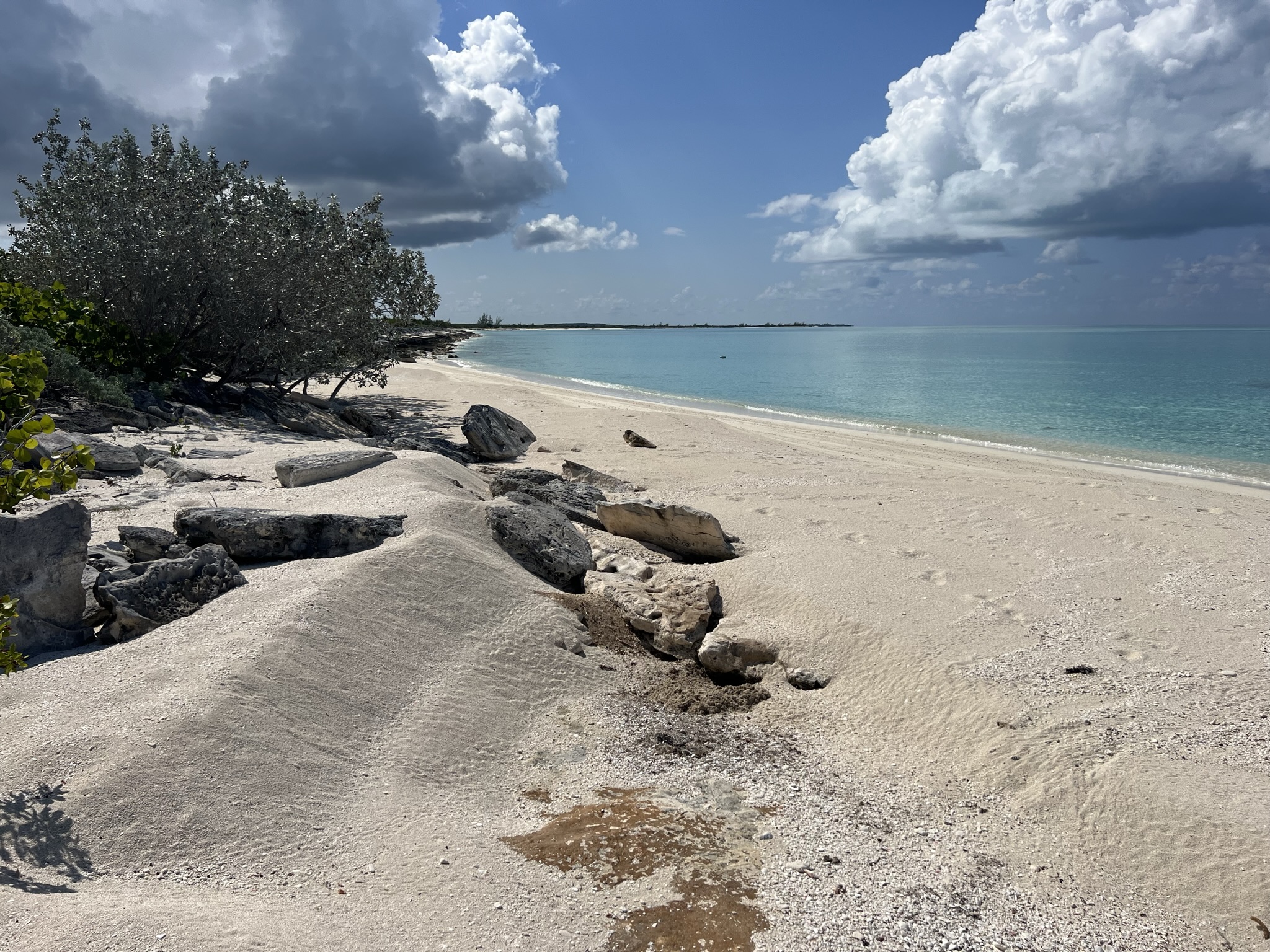 Cabbage Point Lot 4