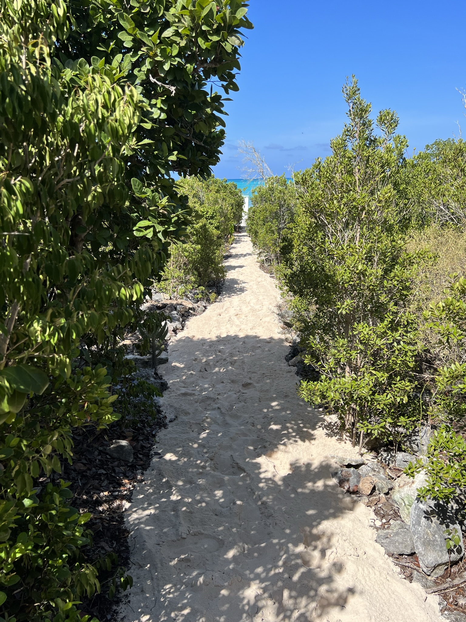 Cabbage Point Beach Access Lot 4