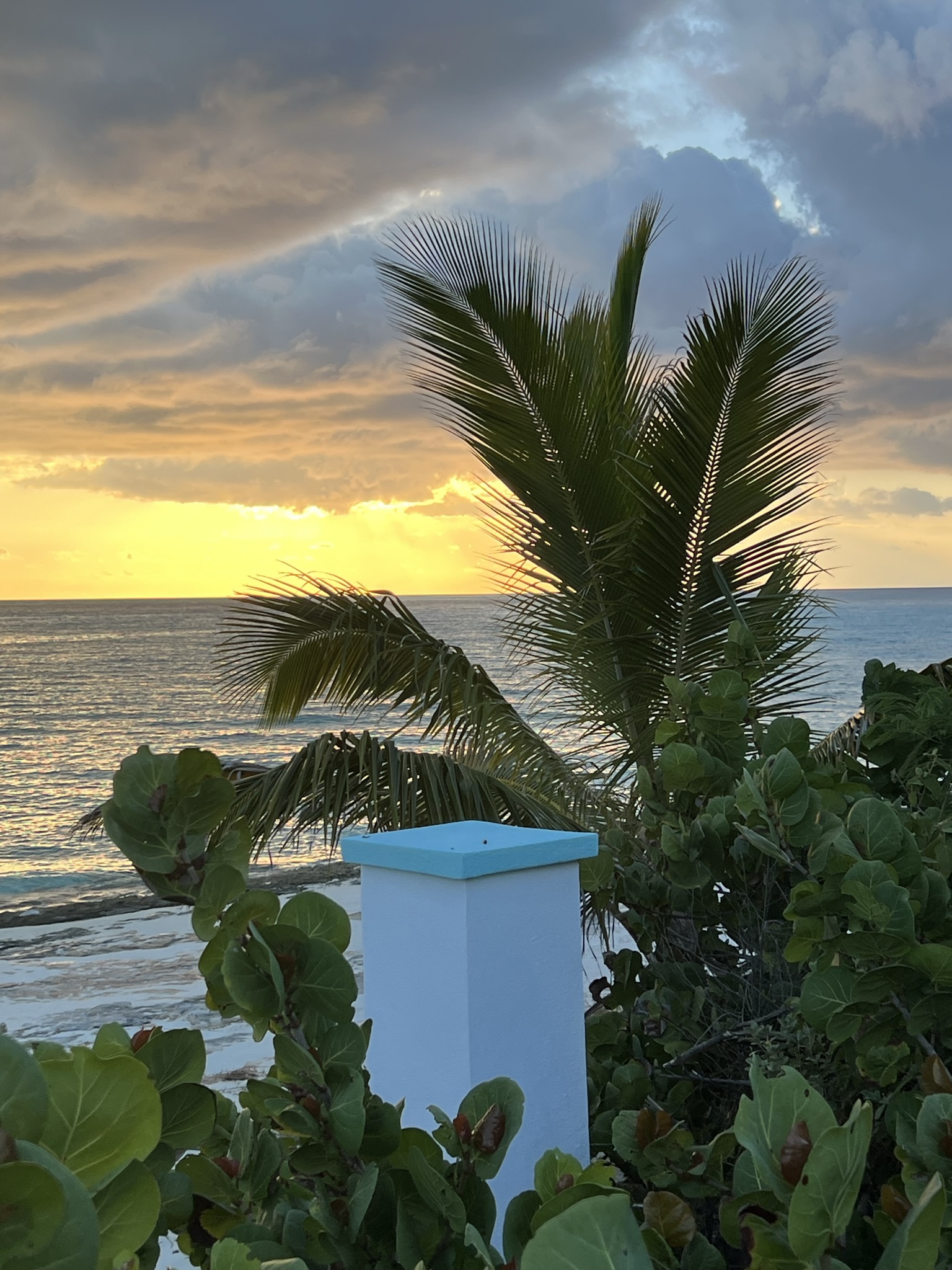 Cabbage Point Lot 4